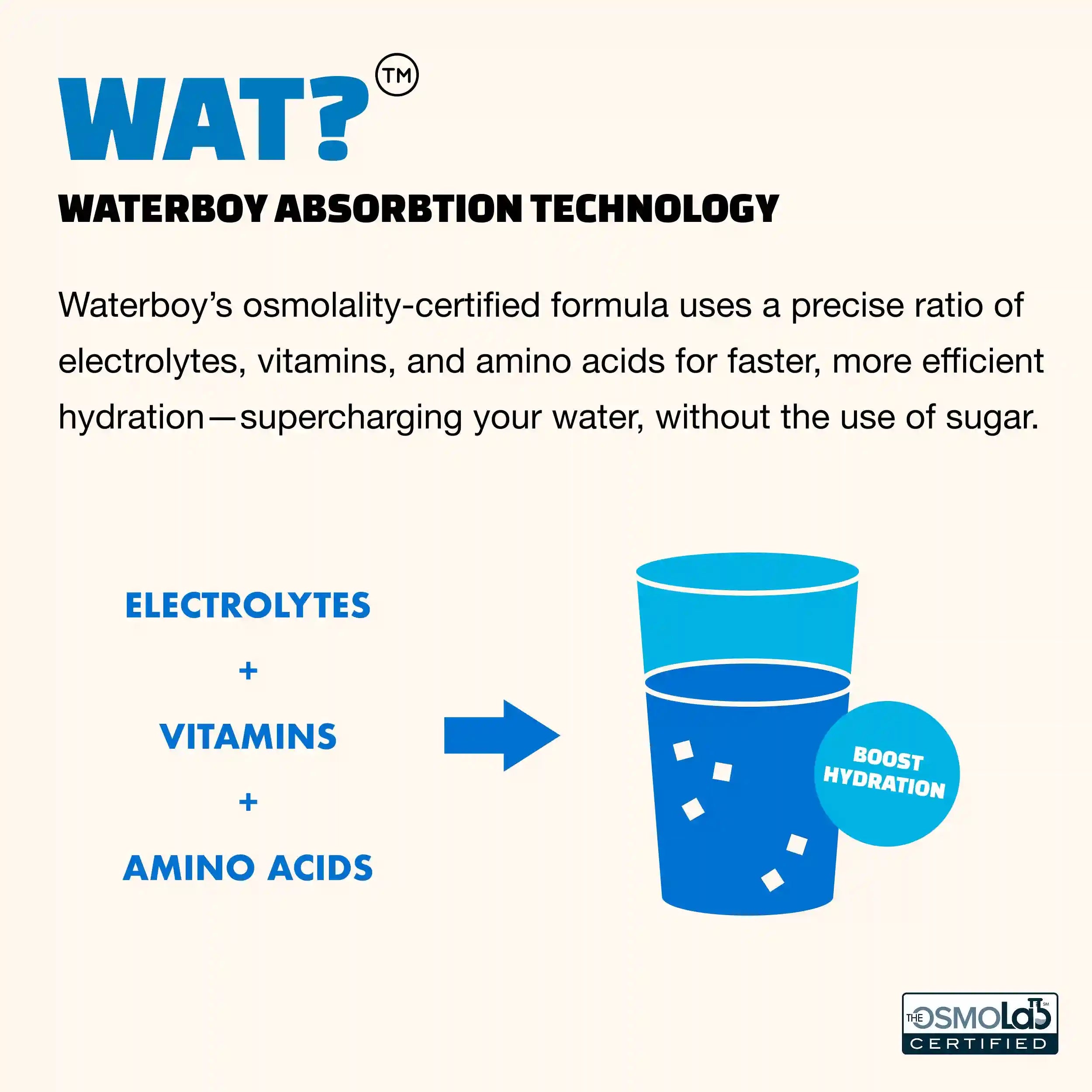 waterboyhydration.us.com